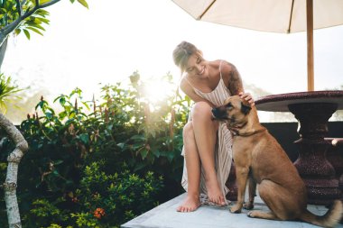 Genç, neşeli, beyaz bir kadın otelin bahçesinde sevimli bir köpeği okşuyor. Turizm, tatil ve hafta sonu. Sahibi ve evcil hayvan ilişkisi ve dostluğu. Güneşli bir gün. Bali adasında huzurlu ve huzurlu bir yaşam tarzı