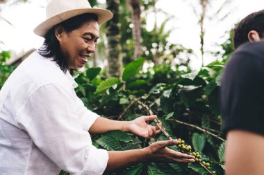 Kafein fasülyesiyle şapka tutan neşeli iş adamı ve kahve çiftliğinde iş arkadaşıyla iletişim kuran, kırsal kesimdeki gezide arkadaşlarıyla konuşan mutlu çiftçi.