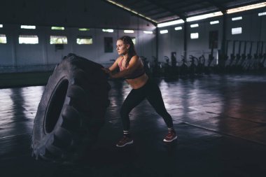 Aktif çalışan beyaz kadın spor salonunda zayıflatmak ve kol kasları üzerinde çalışmak için tekerlek lastiği kullanıyor güçlü profesyonel spor yapan kadın antrenman için sıkı kardiyo çalışması yapıyor.