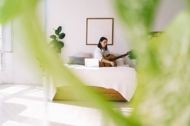 Esmer kadın ev içi rahat dizüstü bilgisayarda çevrimiçi video kursu izlerken gitar çalmayı öğreniyor. Netbook 'u olan genç bir kadın yatakta dinlenen müzik aletleriyle hobisinin keyfini çıkarıyor.