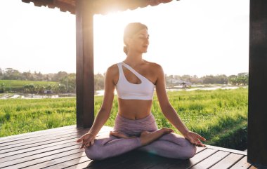 Spor giyim ve meditasyon yaparken sakin bir kadın boş zamanlarında dinlenmek ve aydınlanmak için pirinç tarlaları yakınlarındaki yoga antrenmanlarında zaman harcayan beyaz bir kadın.