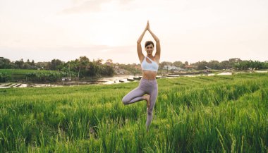 Tayland 'daki pirinç tarlalarında sabah meditasyonu sırasında doğa enerjisi alan beyaz yogilerin tam boy portresi, ağaçta duran sportif kadın geri çekilme sırasında hatha yogası yapıyor.
