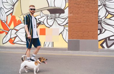 Elinde cep telefonuyla gezen sakallı adamın yan görüntüsü. Komik Jack Russell Terrier. Dilini koparıp şehir sokaklarında dolaşıyor.