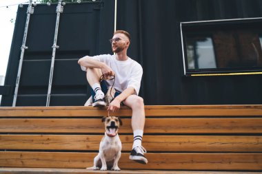 Şık, modern, sakallı, gözlüklü, spor ayakkabılı Jack Russell Terrier tasmalı kasabadaki ahşap bankta otururken...