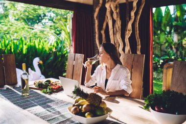 Modern netbook bilgisayarlı yetenekli dijital göçebe karışık aperatiflerle branç sırasında beyaz şarap içiyor, milenyum kadın serbest çalışanı uzaktan çalışırken bir bardak aperatif alkolü tadıyor.