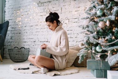 Genç Asyalı kadın evdeki Noel ağacının yanında kürklü halıda otururken hediye kutusunu açıyor. Noel ve yeni yıl zamanı. Milenyum neslinin güzel kızı. Ev hayatı işte. Geniş daire