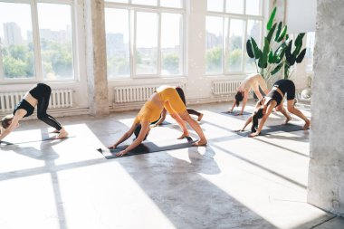 İnce, çok ırklı kadınların yoga yaparken dinlenmesi, aşağı doğru köpek egzersizleriyle yüzleşmeleri, eğlenmeleri ve tüm vücudun esnekliğini ve gücünü artırmaları.