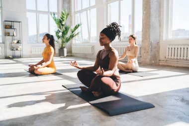 Padmasana 'daki minderlerin üzerinde oturup geniş ışık stüdyosunda yoga yapan çok ırklı kadın sporcuların yan görüntüsü.