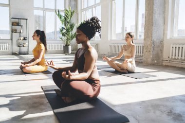 Minderlerin üzerinde oturan ve geniş ışık odasında yoga sırasında Padmasana pozu veren çok ırklı kadın grup arkadaşlarının yan görüntüsü