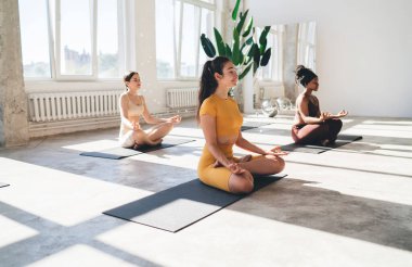 Spor kıyafetleri içindeki çok ırklı bayan sporcuların güneşli spor salonlarında minderlerin üzerinde oturup nilüfer poz vererek yoga yapmalarının yan görüntüsü.
