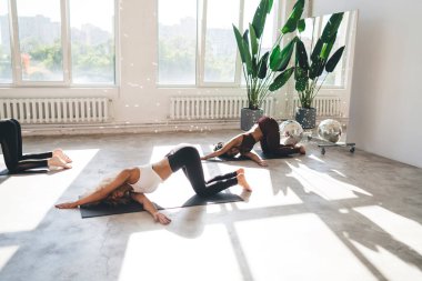 Spor kıyafetleri içinde, stresten kurtulmak için yoga yapan, hafif modern stüdyo pozisyonunda duran esnek bayan sporcular.