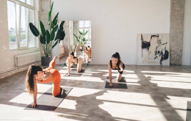 Çok ırklı kadın arkadaşların el ve bacaklarıyla kalas egzersizi yaparken vücut ve formda kas gücünü ve sağlığını geliştirmeyi hedefledikleri grup görüşü