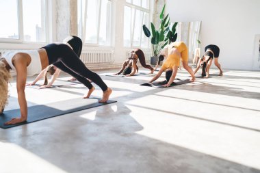 Kıvırcık saçlı kadının yan görünüşü, çeşitli kadın arkadaşlarıyla birlikte, aşağı doğru köpek pozu veren ve daha iyi denge ve esneklik için yoga pratiği yapan kalas pozisyonunda duruyor.