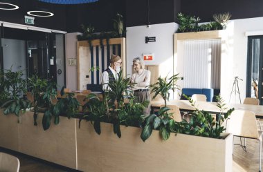 Güler yüzlü kıdemli iş arkadaşları masada durup birbirlerine bakarken boş zamanlarında ofis odasındaki ahşap kaplamalı yeşil santrallerin yanında devam eden iş stratejileri hakkında konuşuyorlardı.