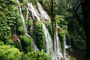 Güneşli bir günde Bali 'de ormandaki yoğun bitki örtüsüyle kaplı dağların kayalık yamaçlarından akan küçük şelale.