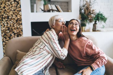 Kanepede oturup birbirlerine sırlarını anlatan pozitif, yaşlı, çok ırklı kadınların yüksek açısı ve oturma odasında dinlenirken heyecan verici haberler.