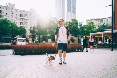 Gündelik kıyafetler ve güneş gözlüğü takmış sakallı bir adam yakışıklı Jack Russell Terrier 'la yürüyor ve hafta sonları yanan arka taraftaki parka bakıyor.