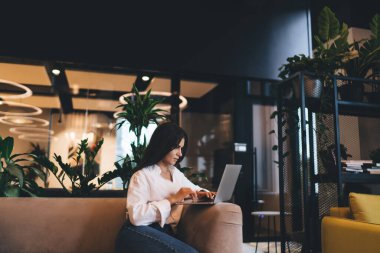 Konsantre olmuş beyaz gömlekli ve kot pantolonlu genç bir kadın kanepeye oturmuş ve yeni ofisin çağdaş iç kısımlarında netbook 'u karıştırıyor.