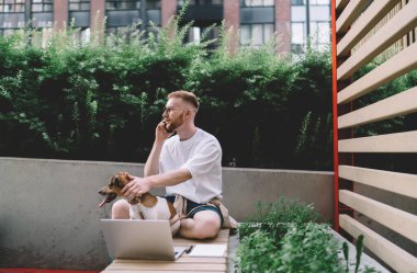 Şehir parkındaki yeşil santrallere karşı uzaktan çalışma sırasında Jack Russell Terrier ve dizüstü bilgisayarla otururken cep telefonuyla konuşan genç serbest çalışan bir erkek.