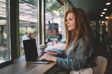 Kafede işe başlamak için uzaktan çalışırken bilgisayarlı kahve günlüğüyle masada otururken bulanık sokağa bakan genç bayan serbest çalışanın yan görüntüsü