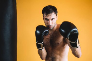 Odaklanmış, boks eldivenli erkek boksör. Spor salonunda gündüz vakti antrenman yaparken ve siyah çantaya vururken sarı arka planda kameraya bakıyor.