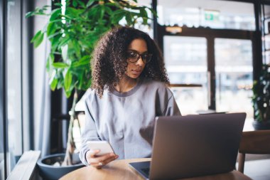 Yoğunlaştırılmış gözlüklü siyahi kadın gözlüklü bilgisayarlı ve bilgisayarlı ekranda otururken çevrimiçi olarak akıllı telefona bakarken bulanık kafede uzak bir projede çalışıyor.