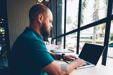 Kafeteryadaki masada oturan ciddi bir erkek serbest yazar ağ kurmak ve sohbet etmek için dizüstü bilgisayarı kablosuz internete bağlıyor. Düşünceli hispter adam internet sayfasında bilgi araştırması yapıyor.
