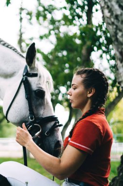 İyi kadın jokey 20 'li yaşlarda ağacın yanında çimenlerde oturur ve şirin aygır atla ilgilenir. Koşum eğitimi için dost canlısı bir hayvanla hafta sonunun tadını çıkarır. Safkan kısrakla iletişim kuran bir kadın.