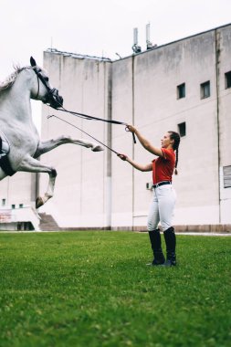 Genç profesyonel kız itaatkar aygır atıyla numaralar yapıyor. Şehir kulübünde hafta sonunun keyfini çıkarıyor. Beyaz kadın dublör, at biniciliği sporu için safkan kısrak şampiyonu.