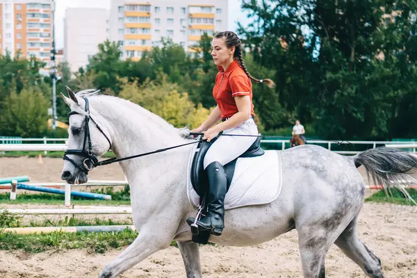 Doğa ortamını yeniden canlandırmak için hayvanlı hobiler, beyaz kadın profesyonel jokey güzel aygırla eyerleme hazırlanmak ve ata binmek için boş vakitlerin tadını çıkarıyor.