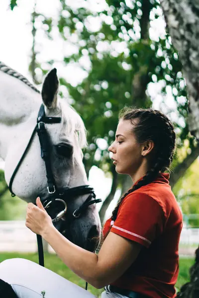 İyi kadın jokey 20 'li yaşlarda ağacın yanında çimenlerde oturur ve şirin aygır atla ilgilenir. Koşum eğitimi için dost canlısı bir hayvanla hafta sonunun tadını çıkarır. Safkan kısrakla iletişim kuran bir kadın.
