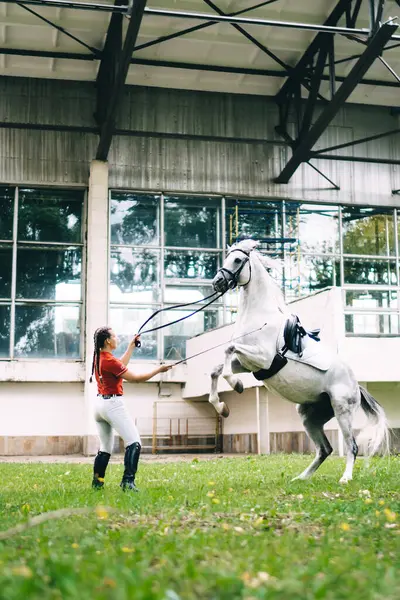 Beyaz kadın profesyonel at kırbacıyla at kırbaçlama itaat eden at yarışı şampiyonu, genç jokey binicisi yirmili yaşlarda safkan kısrak hayvanlarla binicilik eğitimi alan
