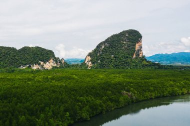 Mangrov ormanlarının, nehir kanallarının ve dağların hava manzarası. Tayland 'daki Ao Phang Nga Körfezi Ulusal Parkı' ndaki tropikal su ormanlarının güzel panoramik doğa manzarası kuşbakışı.