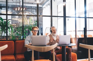 Neşeli, olgun iş adamları dizüstü bilgisayarlarıyla masada oturur ve kafenin modern çalışma alanında pencerelere karşı çalışırken ekrana bakarlar.