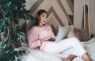 Odaklanmış Asyalı kadın günlük kıyafetlerle yeşil bitkinin yanında rahat bir yatakta oturuyor netbook 'ta internette bilgi arıyor.