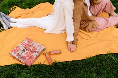 Parktaki yeşil çimlerin üzerinde dinlenirken ve kaynaşırken gündelik kıyafetleriyle karşılarında battaniyeleri üzerinde oturan, yüksek açılı eşcinsel çift.