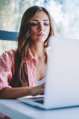 Genç kadın Cafe kablosuz bağlantı ile modern dizüstü kullanarak ders çalışma için internet sitelerinde bilgi arama yoğunlaşmıştır. Netbook coworking içinde çalışan dalgın kadın serbest meslek