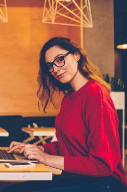 Sınavlara dizüstü bilgisayarla hazırlanan zeki kız öğrencinin portresi. Ciddi bir iş arkadaşı ve internet geliştirme üzerine yoğunlaşmış, kafenin içinde serbest çalışan genç bir kadın.