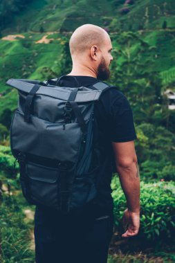 Dağlarda yaz gezisi sırasında çay plantasyon ile doğal manzaralar keşfetmek siyah sırt çantası ile sakallı erkek Gezgin görünümünü geri. Sırt çantası yeşil yağmur ormanı güzellik zevk ile turizm