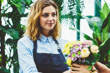 Profesyonel kadın bahçıvan, kendi botanik serasında yetişen taze çiçekleri satıyor. Önlüklü satıcı, müşteriye organik çiçekçide çalışan güzel sipariş edilmiş buketi veriyor.