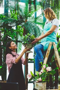 Serada birlikte çalışan çok ırklı kadın çiçekçiler bitkiler ve yeşil otlar taşıyorlar, önlüklü gülümseyen botanikçi meslektaşına saksı verirken o organik cam evde merdiven üzerinde oturuyor.