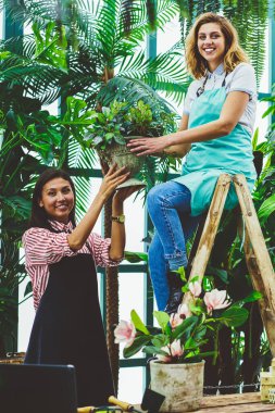 Kadın arkadaşları bitki pot, tutan sera içinde çalışma sırasında işbirliği kameraya bakarak merdiven üzerinde oturan asistan Çiçeklik alarak önlük serada sahibi gülümseyen portresi