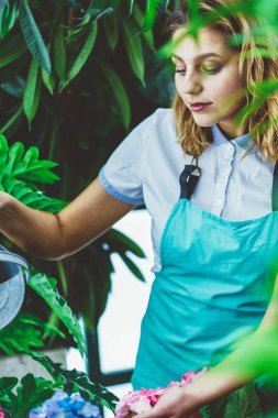 Botanik orangery bitkilerin tek başına güzel çiçeği çiçek açan çiçekler işgal zevk sulama sera çalışma önlük beyaz kadın arayan dikkat çekici genç kadın sahibi