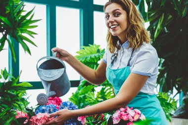 Mutlu gülümseyen kadın çiçekçi, portakalla çiçeklerle ilgilenmekten zevk alıyor, meslekten memnun, önlüklü neşeli bir kadının portresi sera sahibi, çiçek açan çiçeklerden büyülenmiş.