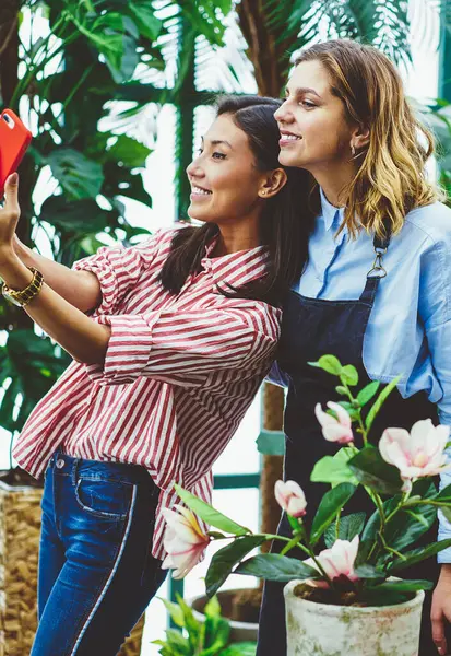 Akıllı telefon kamerasıyla selfie çeken neşeli bayan meslektaşlar serada birlikte çalışırken mutlu Asyalı kadın cep telefonuyla fotoğraf çekiyor önlüklü bir bahçıvanla.