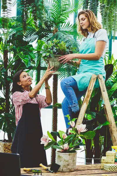 Kadın Çiçekçi Çiçek önlük ile iş memnun yardımcılardan kötü taşıyan merdiven oturan gülümseyen botanik arangery bitkiler ve ot, holding çiçek Bakımı işbirliği kadın işçiye