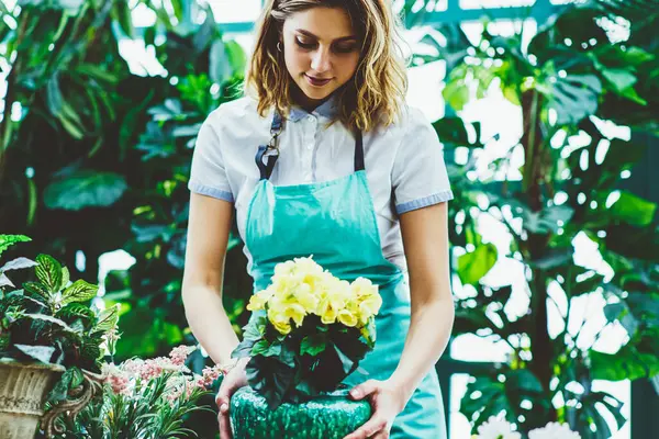 Önlüklü yetenekli bayan çiçekçi elinde çiçek tarlasıyla çiçek açıyor botanik portakalında çalışıyor, profesyonel satıcı çiçeklerle ilgilenen çiçeklerle ve serayla ilgileniyor.