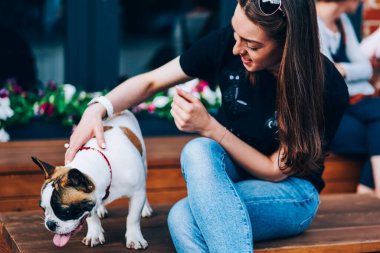 Genç kadın çuvalı şirin köpek yavrusu ile açık havada tahta bankta otururken dalga rahat kıyafetler giymiş. Köpek ile eğleniyor rekreasyon Street sırasında mutlu güzel genç