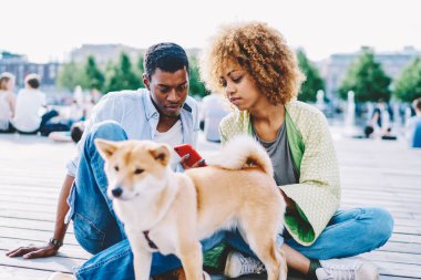 Gündelik giyinmiş iki Afro-Amerikan blogcu internet sitesinde video izliyorlar. Uyanık telefondan 4G internet kullanıyorlar. Koyu tenli arkadaşlar telefonda köpeklerle birlikte ihbarname okuyorlar.