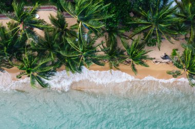Turkuaz su dalgaları ve yeşil tropikal palmiyelerle dolu pitoresk kıyı şeridi manzarası. Hawaii 'nin cennet sahili kuş bakışı manzarası, yaz tatilleri için güzel bir turizm merkezi.